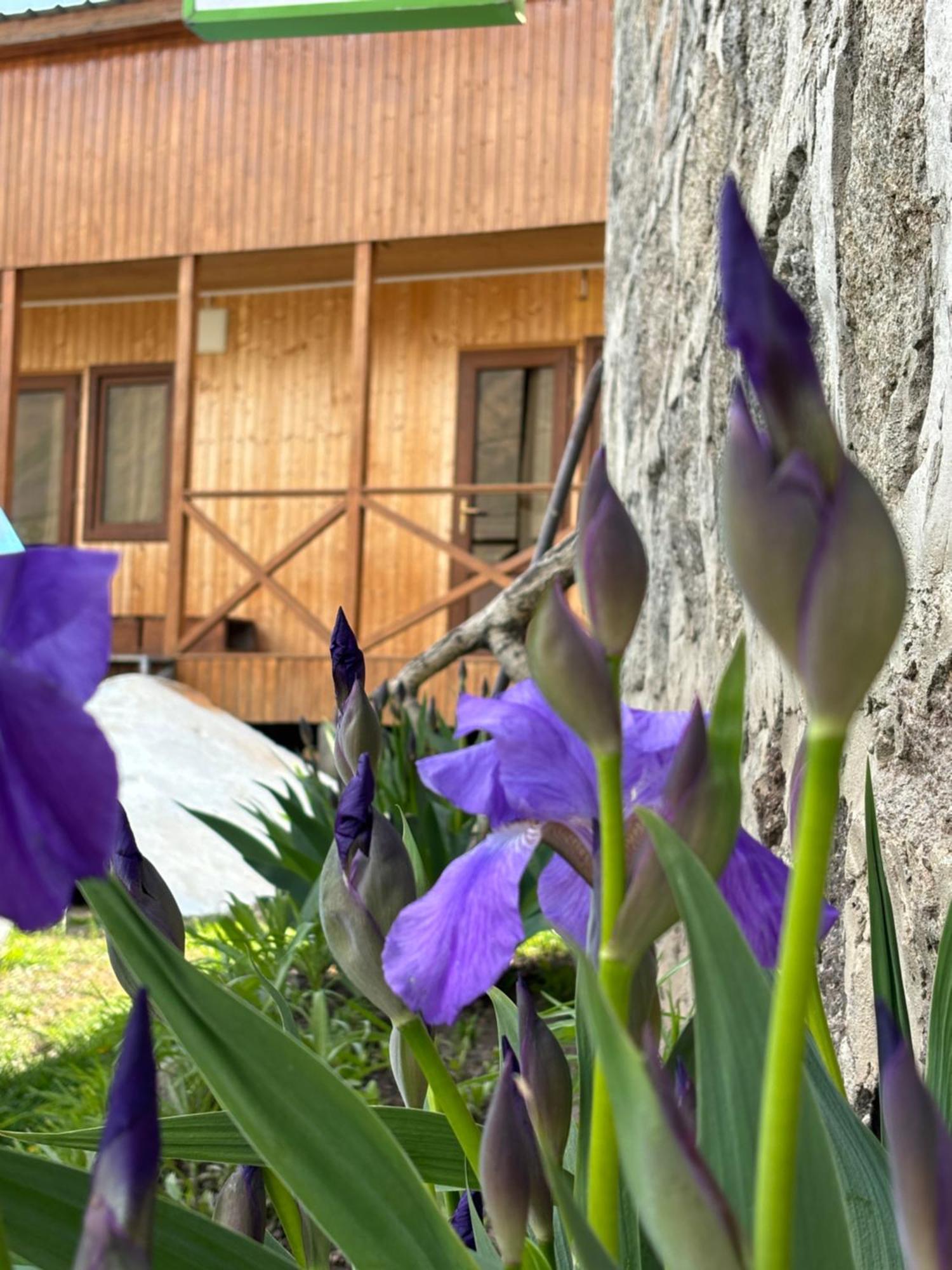 קזבגי Family Hostel Nika מראה חיצוני תמונה